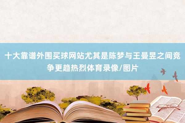 十大靠谱外围买球网站尤其是陈梦与王曼昱之间竞争更趋热烈体育录像/图片