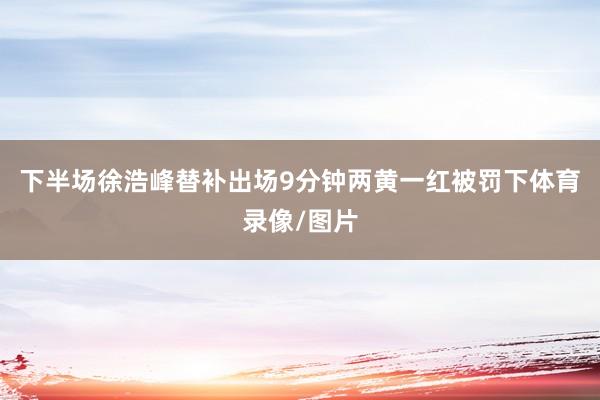 下半场徐浩峰替补出场9分钟两黄一红被罚下体育录像/图片