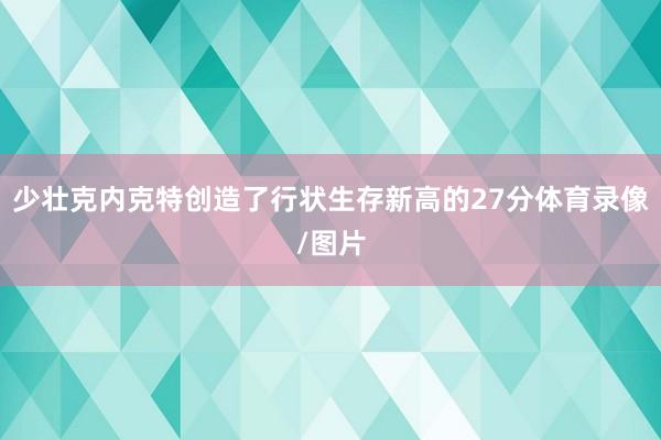 少壮克内克特创造了行状生存新高的27分体育录像/图片