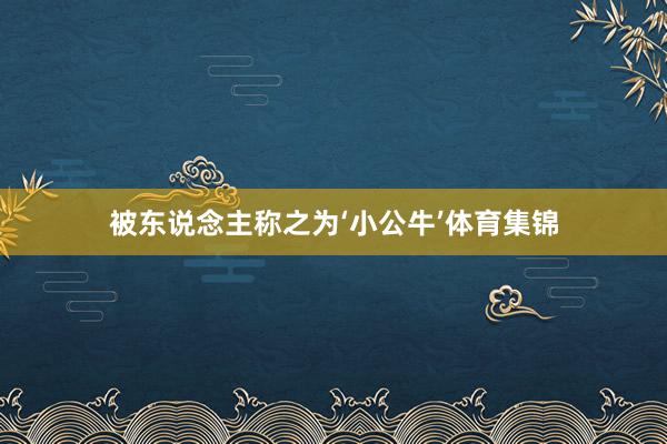 被东说念主称之为‘小公牛’体育集锦