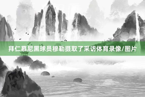 拜仁慕尼黑球员穆勒摄取了采访体育录像/图片