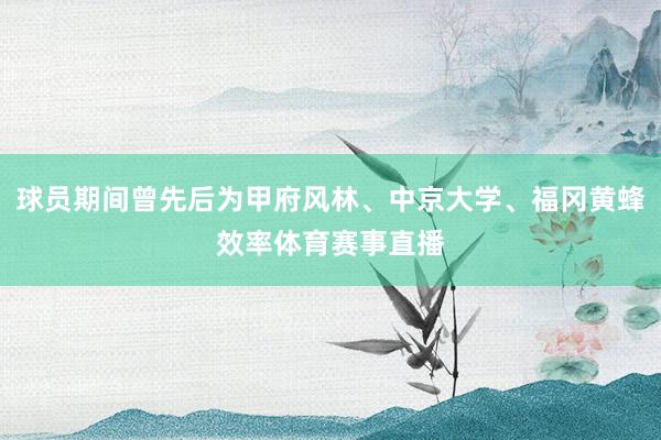 球员期间曾先后为甲府风林、中京大学、福冈黄蜂效率体育赛事直播