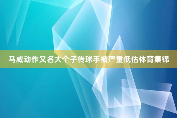 马威动作又名大个子传球手被严重低估体育集锦