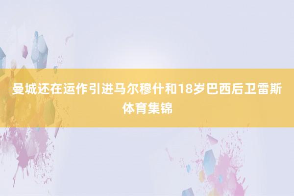 曼城还在运作引进马尔穆什和18岁巴西后卫雷斯体育集锦