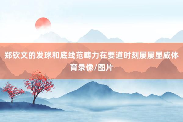 郑钦文的发球和底线范畴力在要道时刻屡屡显威体育录像/图片