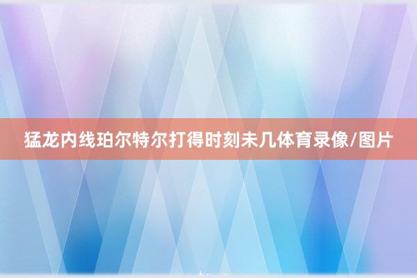 猛龙内线珀尔特尔打得时刻未几体育录像/图片