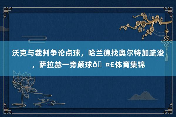 沃克与裁判争论点球，哈兰德找奥尔特加疏浚，萨拉赫一旁颠球🤣体育集锦